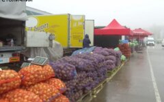 Картофель в Украине, урожай овощей в 2021 году, цены на картофель