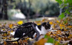 Прогноз погоди в Україні / Фото: Unsplash