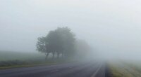 Густой туман в Украине