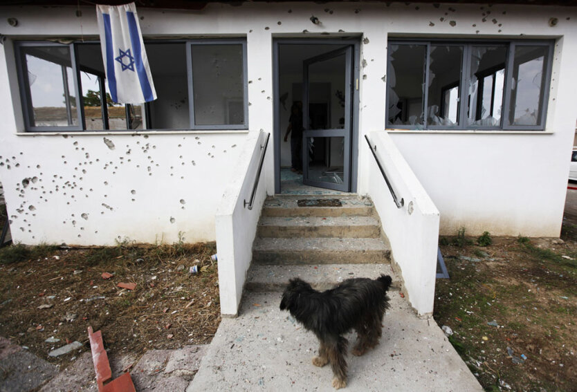 Собака у  разрушенного еврейского дома  в деревне недалеко от южного города Ашдод
