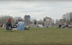 Нидерланды