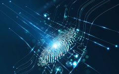 отпечаток пальца