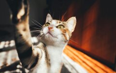 Прогноз погоды в Украине  / Фото: Pexels