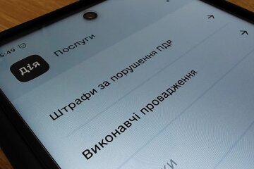 Штрафы для автомобилистов в приложении "Дия"