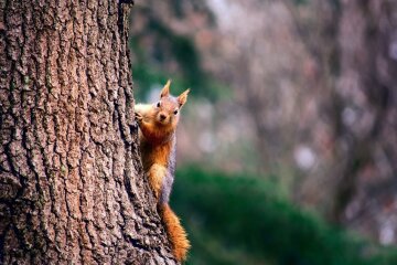 Погода в Украине