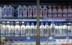 молочка, молочная продукция, цены на молочку, цены на продукты
