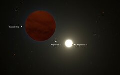 Kepler-88