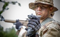 Черный шершень