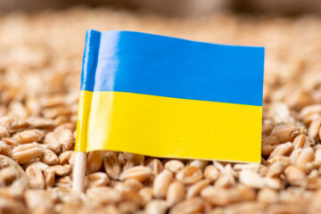 Экспорт из Украины / Фото: shutterstock.com