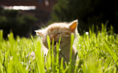 Прогноз погоди в Україні