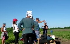 заробитчане