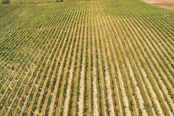 Земельний пай