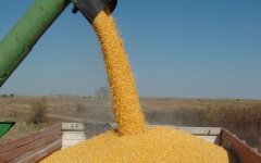 Импорт агропродукции