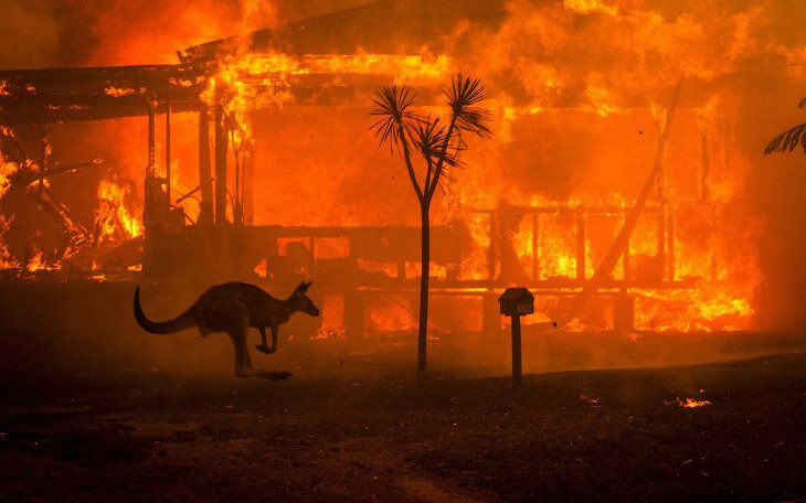 пожары в Австралии декабрь 2019 2