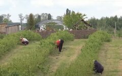 Украина, Польша, рабочие
