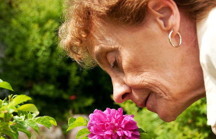 обоняние нюх