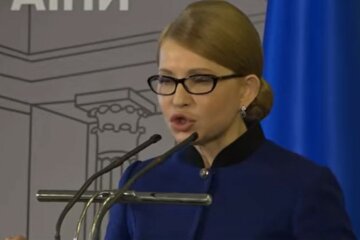 Юлия Тимошенко, Сергей Власенко, миллионные доходы