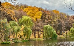 Осінь в Україні