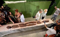Ученые раскрыли тайну «кровавого» идола культуры вари
