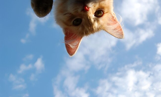 Прогноз погоди в Україні