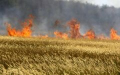 пожар на поле