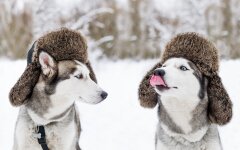 Прогноз погоди в Україні / Фото: ua.depositphotos.com