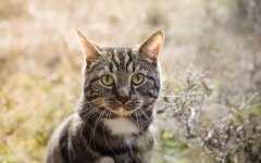 Прогноз погоди в Україні / Фото: Unsplash