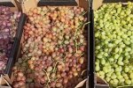 Цены на виноград