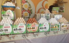 Цены на яйца в Украине