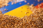 Зерновое соглашение / Фото: slovoidilo.ua