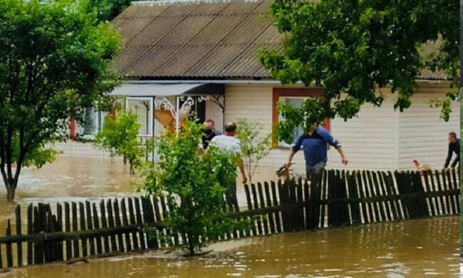 На Буковине и Прикарпатье затопило десятки домов