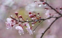 Прогноз погоди в Україні / Фото: Pixabay