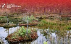 заповедник