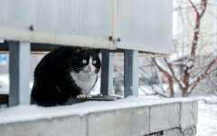 Прогноз погоди в Україні