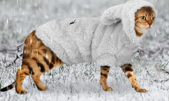 Прогноз погоди в Україні / Фото: ru.aliexpress.com