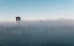 fog on the morning city street