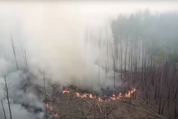 Пожар в Чернобыльской зоне не могут потушить