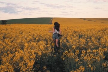 Погода в Украине, погода в Киеве, прогноз погоды