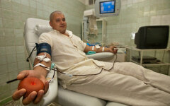 донор крови