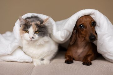 Прогноз погоды в Украине / Фото: Freepik