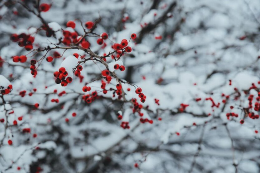 Прогноз погоди в Україні / Фото: pexels