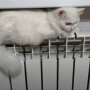 Повышение тарифов на тепло и горячую воду