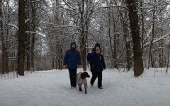 Погода в Украине, погода в Киеве, прогноз погоды, пункты обогрева