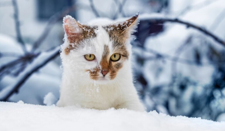 Прогноз погоди в Україні / Фото Depositphotos