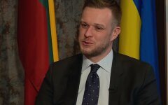 Габриелюс Ландсбергис, Вступлении Украины в НАТО, Аранча Гонсалес Лайя