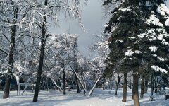 Зима в Украине, погода зимой