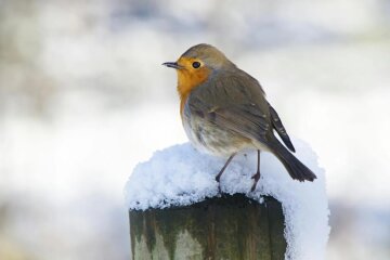 Прогноз погоды в Украине / Фото: Pexels