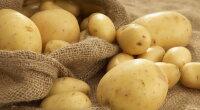 Ціни на картопля