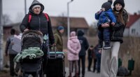Украинские беженцы в ЕС