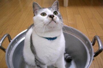 Отключение горячей воды